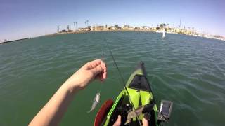 Kayak Fishing in Channel Islands Harbor [upl. by Karia]