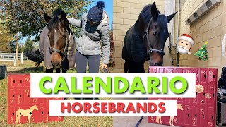 CALENDARIO DELL’AVVENTO HORSEBRANDS 2021😍🐴 [upl. by Critta]