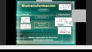 6  Qca Medicinal  Mecanismos de detoxificación biotransformación [upl. by Thetis]