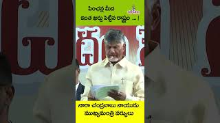 పింఛన్లు మీది ఇంత ఖర్చు పెట్టిన రాష్ట్రం [upl. by Ennovaj751]