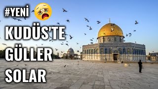 YENİ Kudüste Güller Solar Filistin Kan Ağlarken Dünya Bakmaz Mı [upl. by Patrizia420]