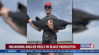 Oklahoma angler reels in black paddlefish [upl. by Kiona]