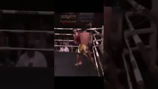 🥊Fastest Head Kick Knockout Ever in the History of Combat Sports shorts [upl. by Naugan546]