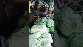 Fresh Pechay Baguio at Repolyo shortvideo fresh viralvideo viralshort [upl. by Blair814]