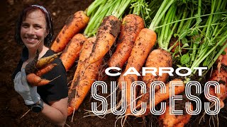 The Most Satisfying Carrot Harvest Yet 2024 [upl. by Gradeigh262]