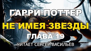 Не имея звезды  Глава 19  Гарри Поттер аудиокнига Васильев С [upl. by Boorman200]