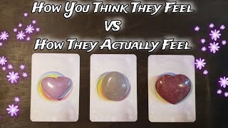 🦢💕 How You Think They Feel VS How They Actually Feel Towards You 🦢💕 🌟 Pick A Card Love Reading [upl. by Nytsua]