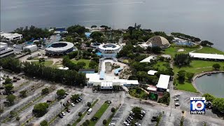 The Miami Seaquarium has not renewed its earned accreditation for its trainers [upl. by Queri77]