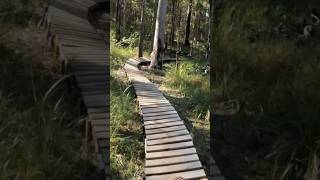 Riding the boardwalk at Woolgoolga mtb mountainbike enduromtb shorts [upl. by Devol]