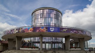 14 OCEANARIUM GDYŃSKIE  AKWARIUM MORSKIE W GDYNI [upl. by Yelah337]