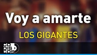 Voy a Amarte Los Gigantes Del Vallenato  Audio [upl. by Ecirtram]