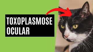 Toxoplasmose Ocular  o que é [upl. by Aidua]