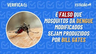 Mosquito da DENGUE e BILL GATES O Estadão Verifica [upl. by Walden464]