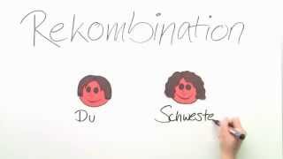 Rekombination Biologie  Biologie  Cytologie [upl. by Arahs737]