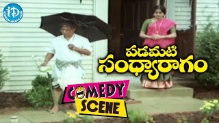 Padamati Sandhya Ragam Comedy Scenes  Gummaluri Sastry funny conversation with Sivamani [upl. by Orag616]