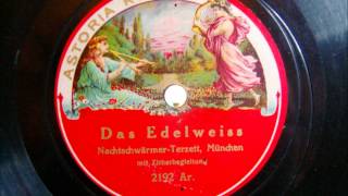 Nachtschwärmer Terzett München  Das Edelweiss  Lied mit Zitherbegleitung [upl. by Omle]