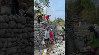 Stone wall constructions shortvideo stonewall stonewalling shorts ytshortsvideo youtubeshort [upl. by Baggott858]