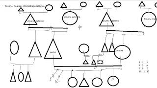 Tutorial Arbol genealógico Biodescodificación [upl. by Schaaff]