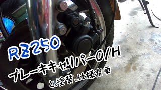 RZ250ブレーキキャリパーオーバーホール（ダブルディスク車）素人DIY [upl. by Foscalina]