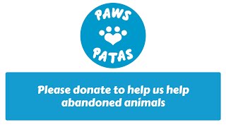 Please Help Us Help Abandoned Animals [upl. by Box]