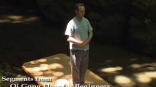 Qi Gong Flow for Beginners with Lee Holden [upl. by Ardie611]