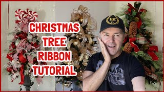 Add Ribbon Streamers to Deco Mesh Wreaths  Deco Mesh Wreaths Beginner Tutorial [upl. by Rochell]