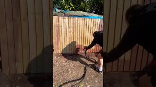 Erbauer 800watt paint sprayer in action Fence painting [upl. by Dredi]