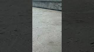 Top roof slab water proofing treatment civiltech1532 civilengineering construction [upl. by Assiroc]