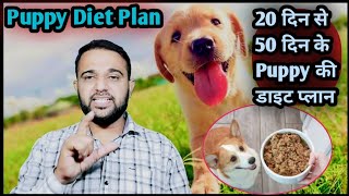 20 to 50 Days Puppy Diet Plan Puppy Diet कुत्ते के छोटे बच्चों की डाइट प्लान क्या खिलाए क्या दें [upl. by Aerdnas495]