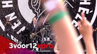 Rowwen Hèze  Limburg  Bestel Mar live op Pinkpop 2019 [upl. by Petrina189]