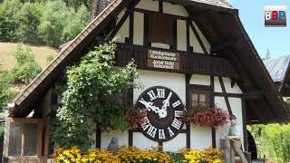 Worlds Very First Biggest Cuckoo Clock  1 Weltgrößte Kuckucksuhr Schonach Germany 2018 [upl. by Durrace]