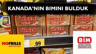 Kanadada Bim Bulduk  Torontoda Yaşam [upl. by Lainad]