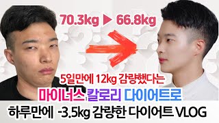 5일만에 122kg 감량할 수 있다는 마이너스 칼로리 다이어트로 하루만에 35kg 감량하는 다이어트 브이로그  마이너스 칼로리 다이어트 VLOG [upl. by Trocki]