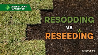 Resod vs Reseeding  Greener Lawn Happier You Episode 5 [upl. by Anor]