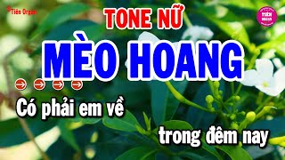 Mèo Hoang Karaoke Tone Nữ  Nhạc Sống Bolero Chất Lượng Cao  Tiên Organ [upl. by Kurzawa]