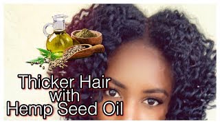 How to Get Thicker Hair with Hemp Seed Oil Type 4 Fine Natural Hair  Simply Subrena [upl. by Musetta440]