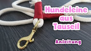 Tauleine für den Hund selbst wickeln  Anleitung  DIY [upl. by Skees181]