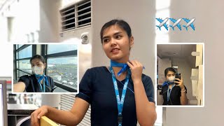 CustomerPassenger Service Agent Duties  Bea PH [upl. by Ahsirtak]