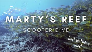 SO MANY FISH AT MARTYS REEF  Birthday Diving on Maui  Kaimana Conservation [upl. by Llerrat463]