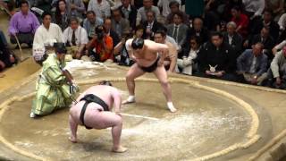 Gagamaru 46  Yokozuna Harumafuji 73  Sumo  Natsubasho 15 [upl. by Snoddy]