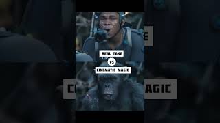 Is it tough to act like Apes  The Incredible Cinematic Evolution [upl. by Eikciv197]