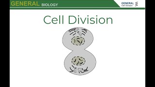 Cell Division Mitosis and Cytokinesis [upl. by Alohs]