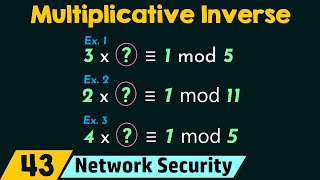 Multiplicative Inverse [upl. by Nnylaj]