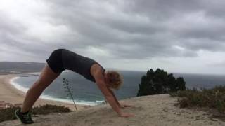 Chaturanga Push Up [upl. by Llered]