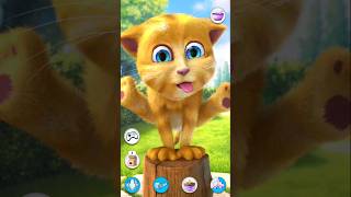 Talking ginger 2 cat funny cute meme shorts [upl. by Sitnik143]