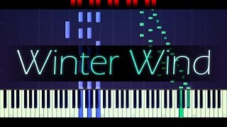 Etude Op 25 No 11 quotWinter Windquot  CHOPIN [upl. by Ritchie]