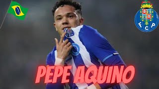 Pepe SkillsampHighlights 20222023 HD  FC Porto [upl. by Stefan673]