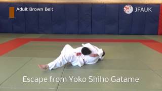 JFAUK Grading Syllabus Adult Brown Belt [upl. by Nevil781]