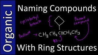 Naming Compounds with Ring Branches IUPAC Style  Organic Chemistry I [upl. by Idonah]