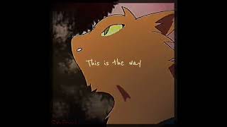 DIGITAL SILENCE SSS WARRIOR CATS EDIT  warriorcats ssswarriorcats warriorcatsedit edit [upl. by Emelin]